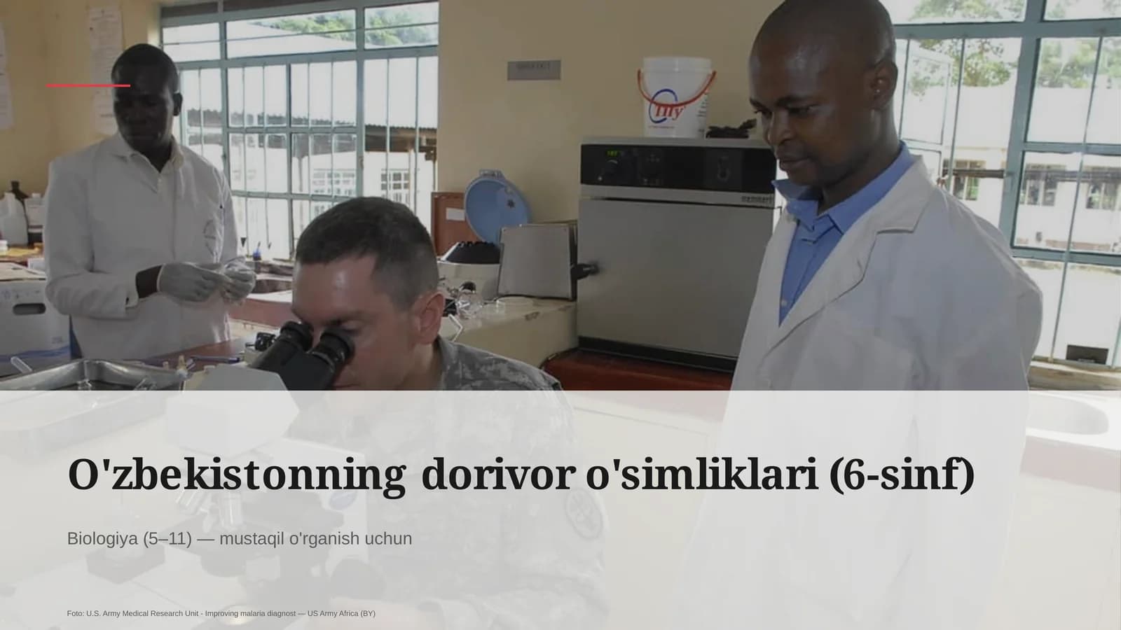 O'zbekistonning dorivor o'simliklari (6-sinf)