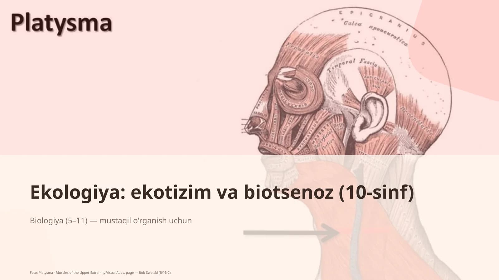 Ekologiya: ekotizim va biotsenoz (10-sinf)
