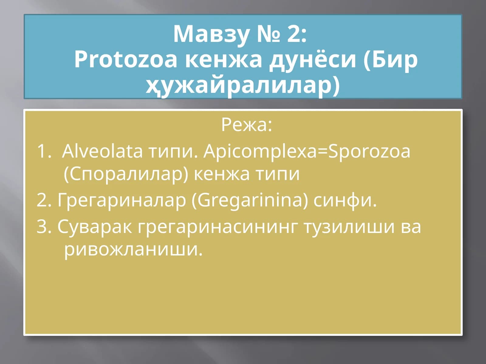 Protozoa кенжа дунёси (Бир ҳужайралилар)