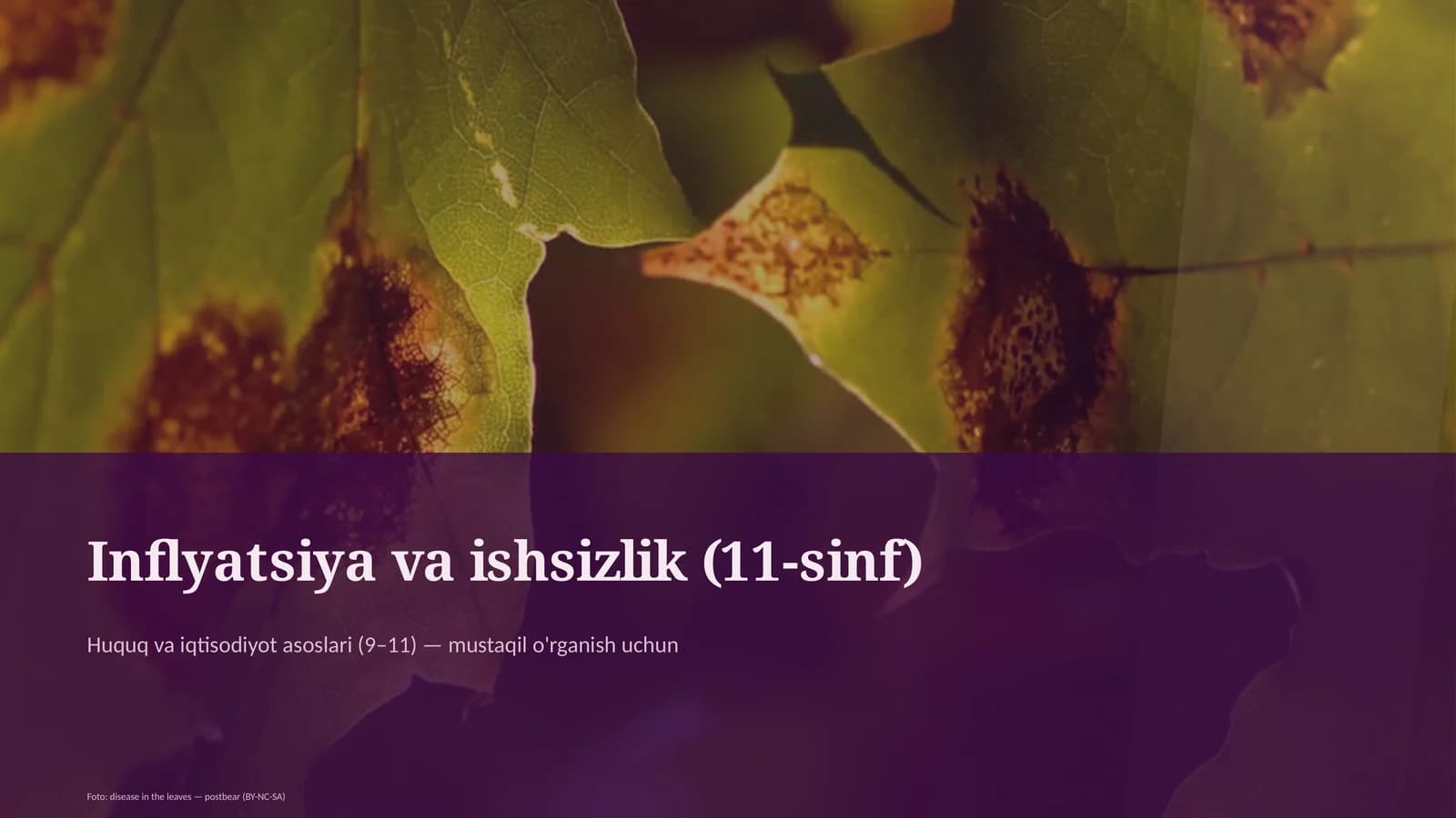 Huquq va iqtisodiyot asoslari (9–11)