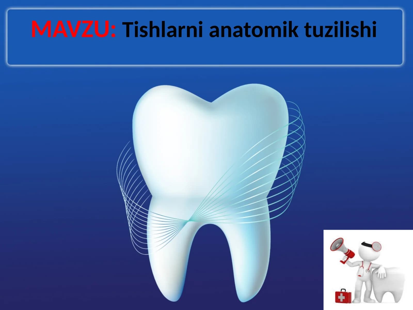 Tishlarni anatomik tuzilishi
