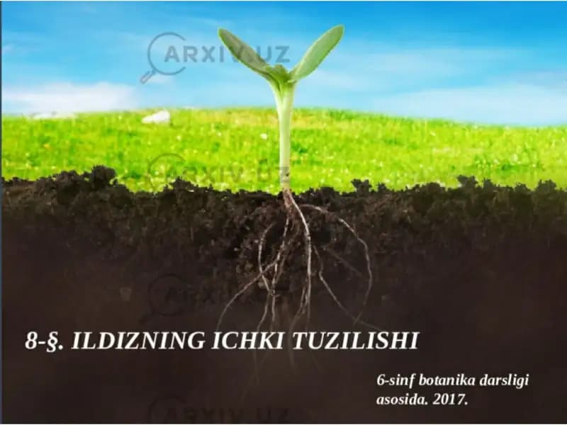 Taqdimot shabloni biologiya