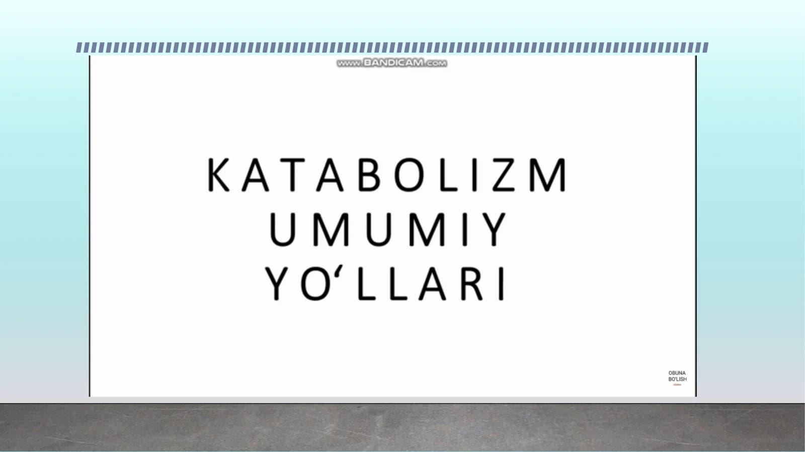 Katabolizmning umumiy yo’llari