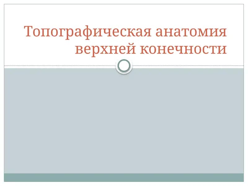 Топографическая анатомия верхней конечности