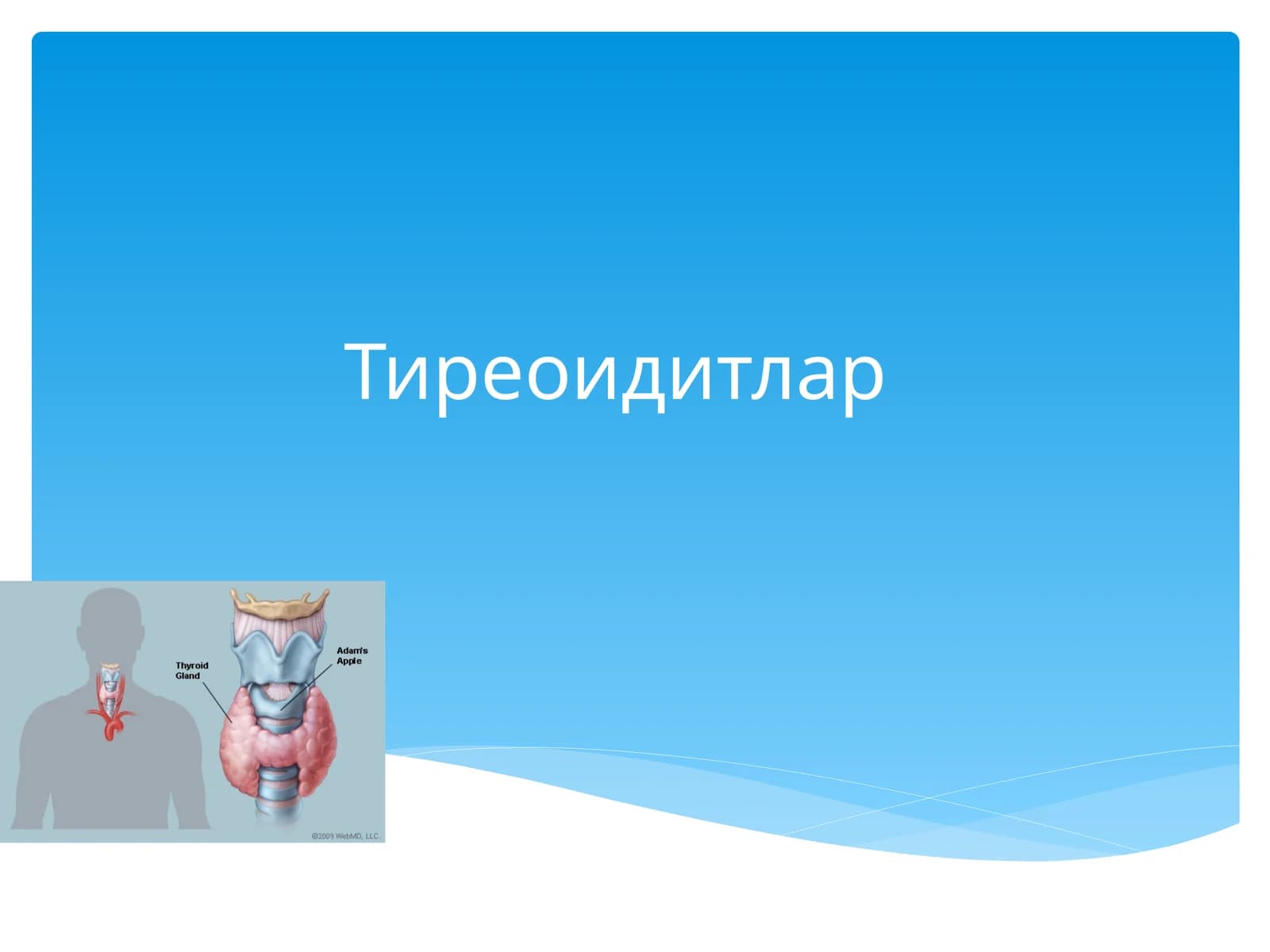 Тиреоидитлар