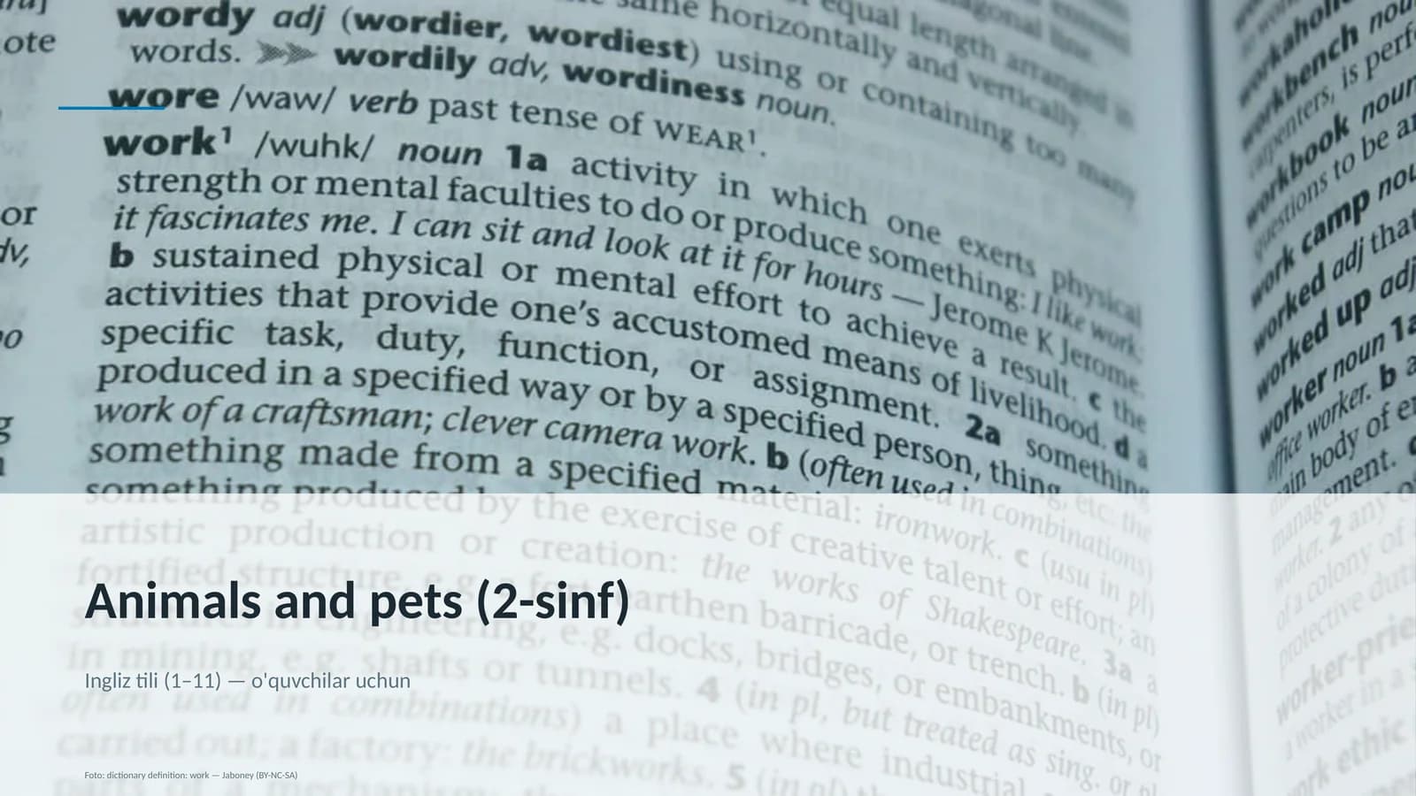 Animals and pets (2-sinf)