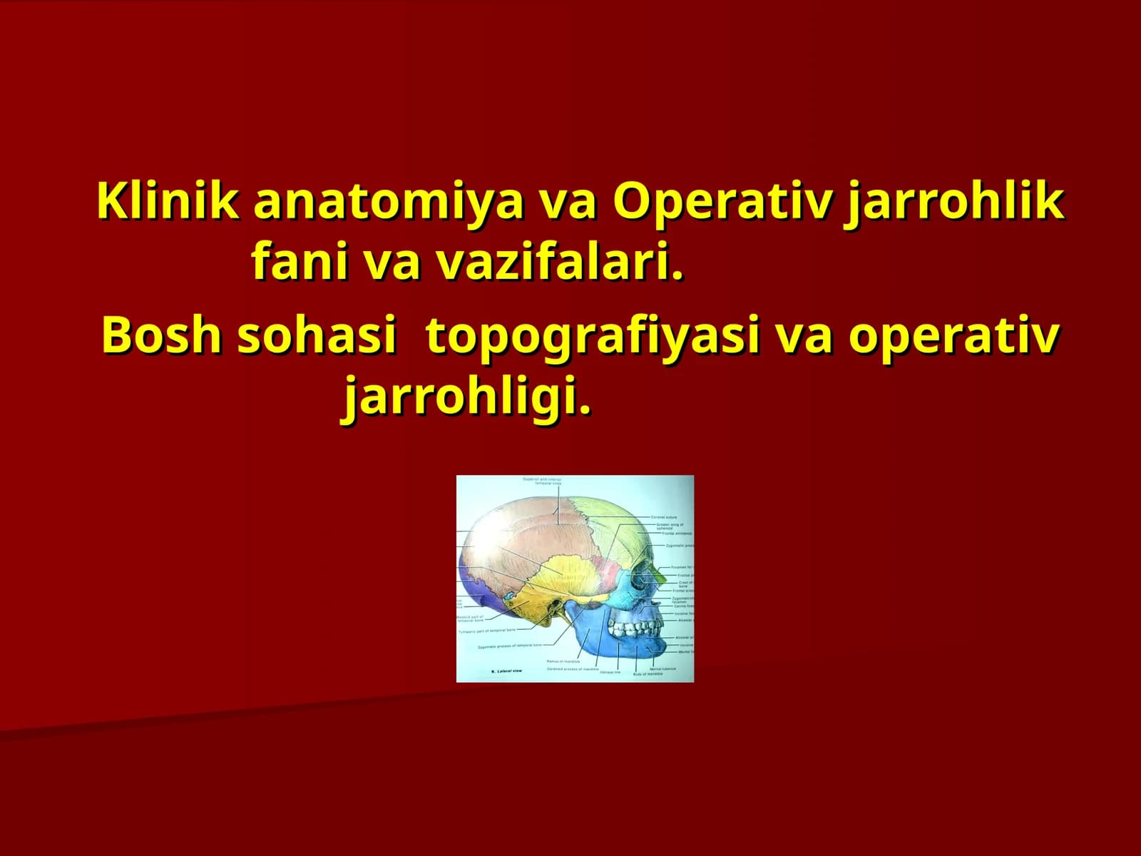 Klinikаnatomiya vaОperativjarrohlikfanivavazifalari