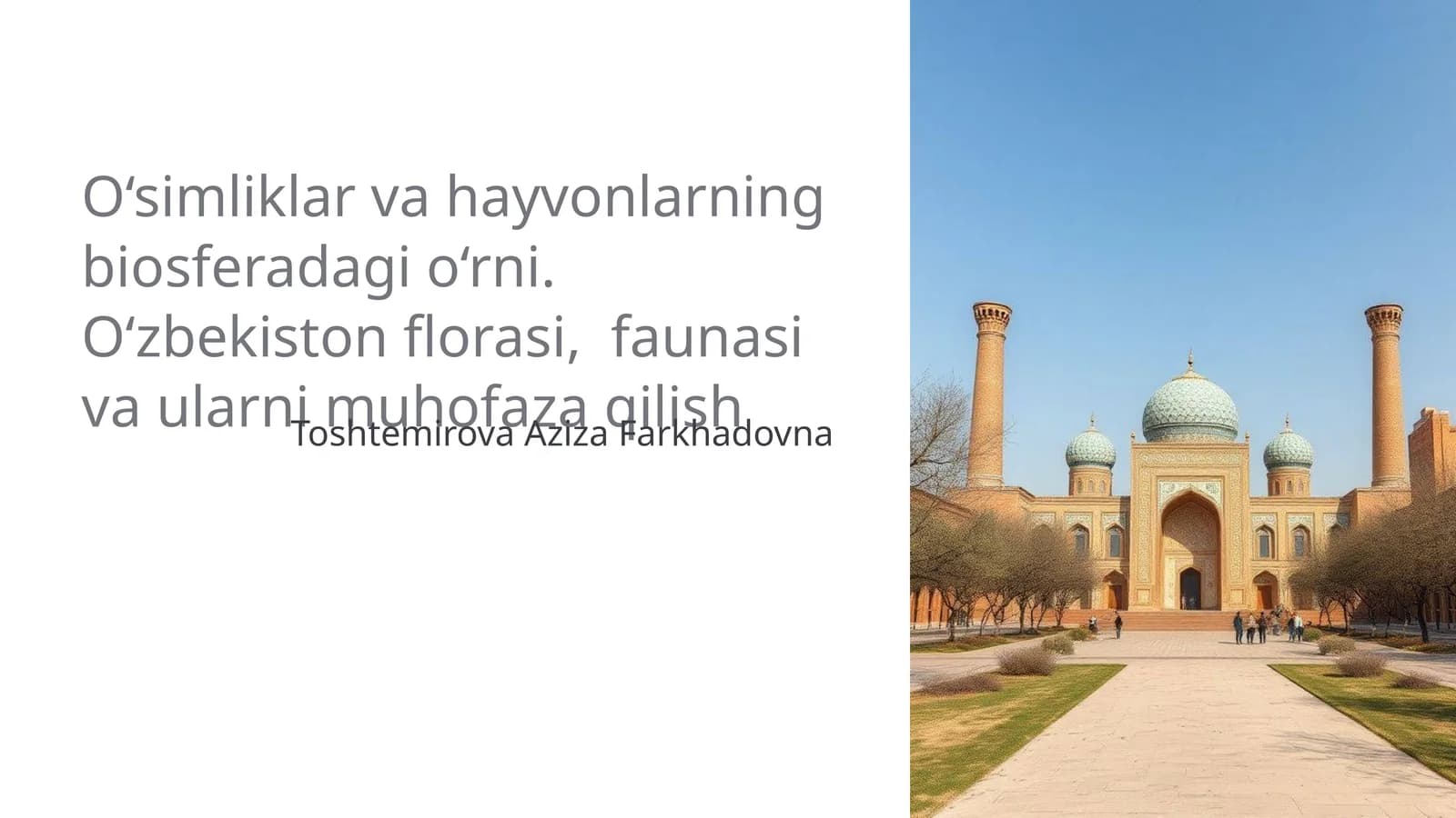 Biosferadagi o‘simliklar va hayvonlar o‘rni