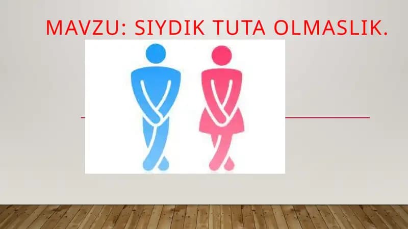 Siydiktutaolmaslik