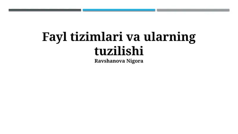 Fayl tizimlari va ularning tuzilishi