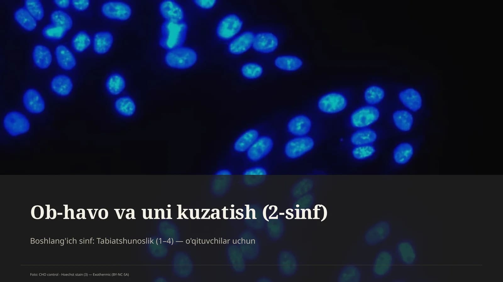 Ob-havo va uni kuzatish (2-sinf)