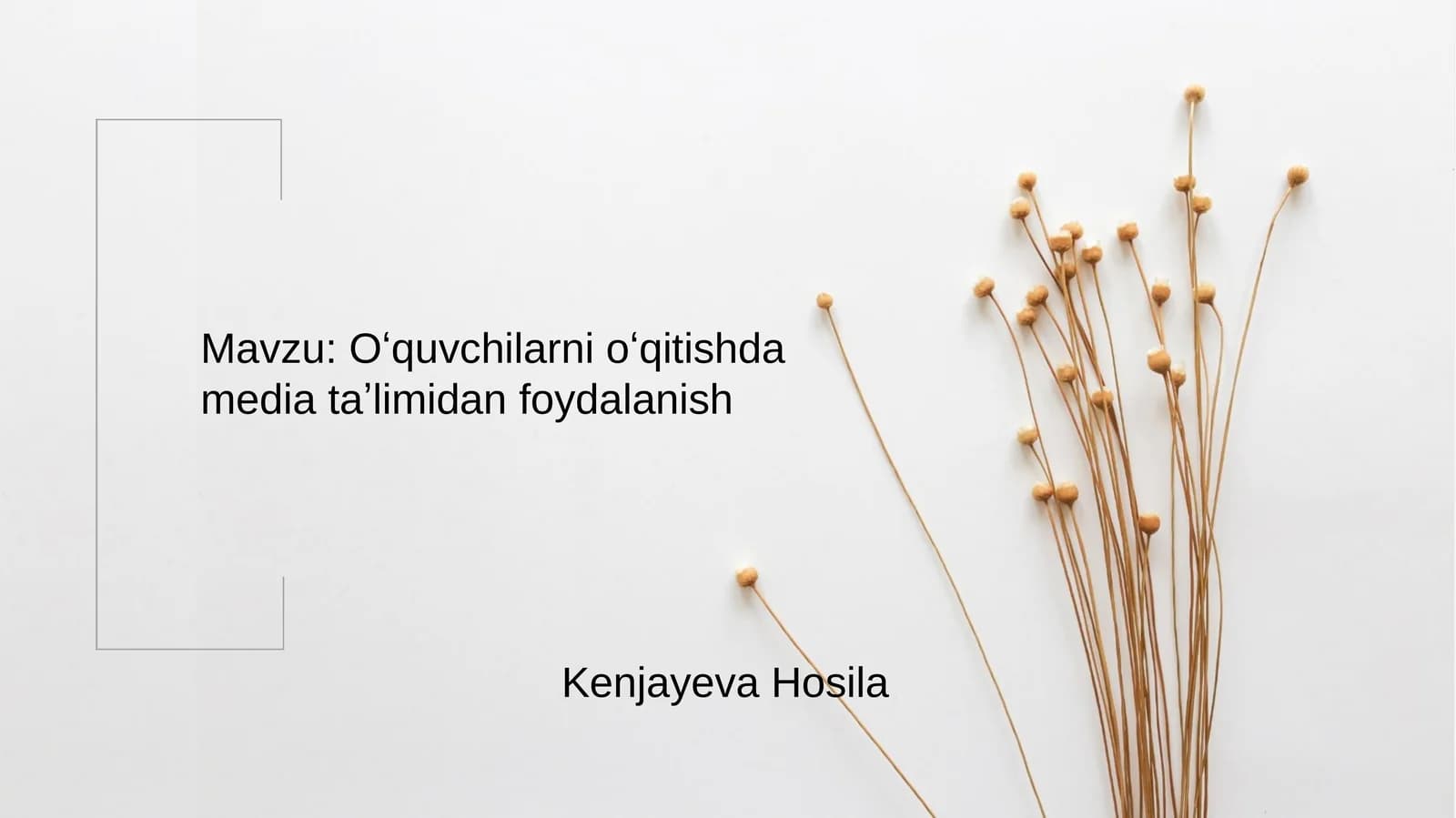 Multimediy vositalari (multimedia – ko’pvositalilik)