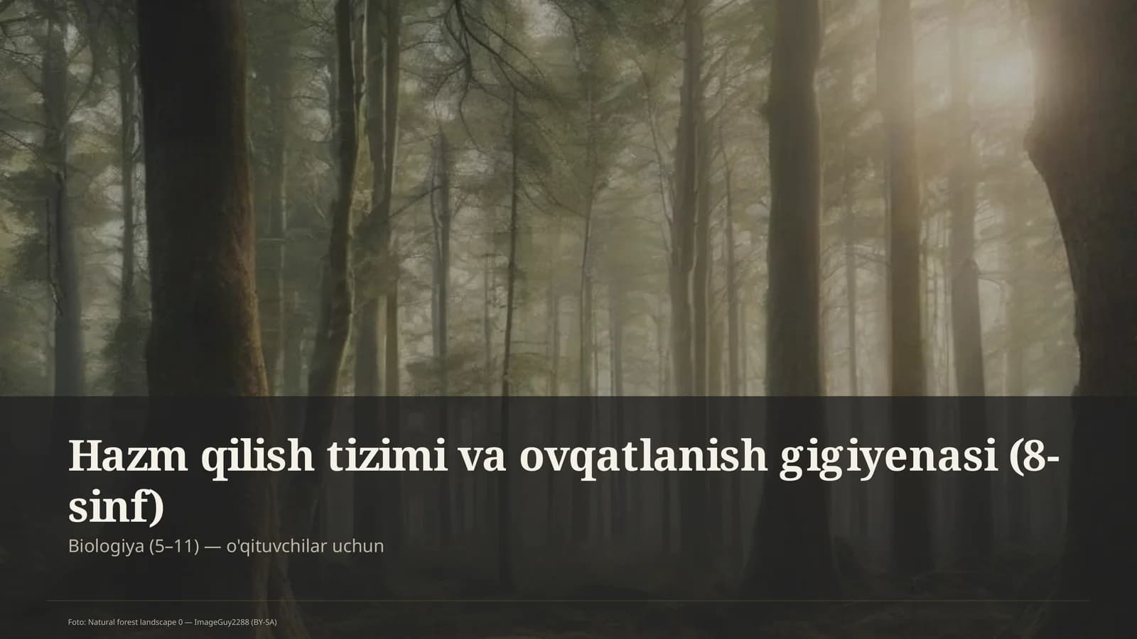 Hazm qilish tizimi va ovqatlanish gigiyenasi (8-sinf)