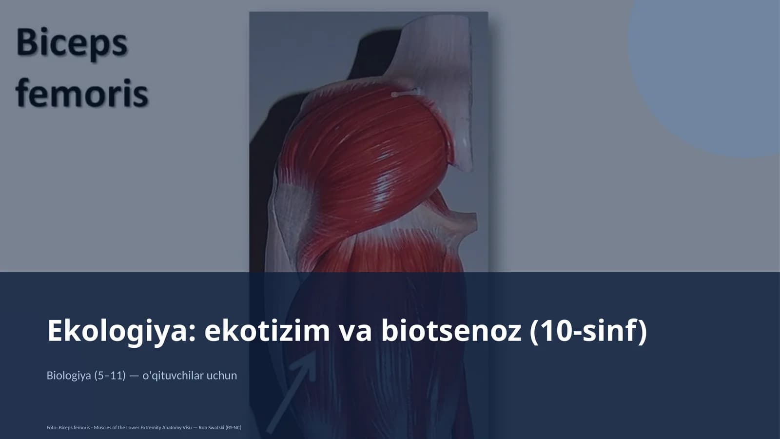 Ekologiya: ekotizim va biotsenoz (10-sinf)