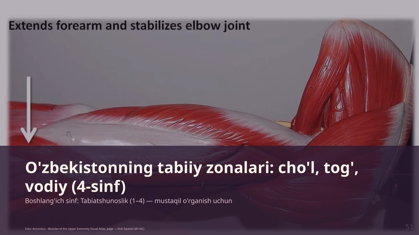 O'zbekistonning tabiiy zonalari: cho'l, tog', vodiy (4-sinf)