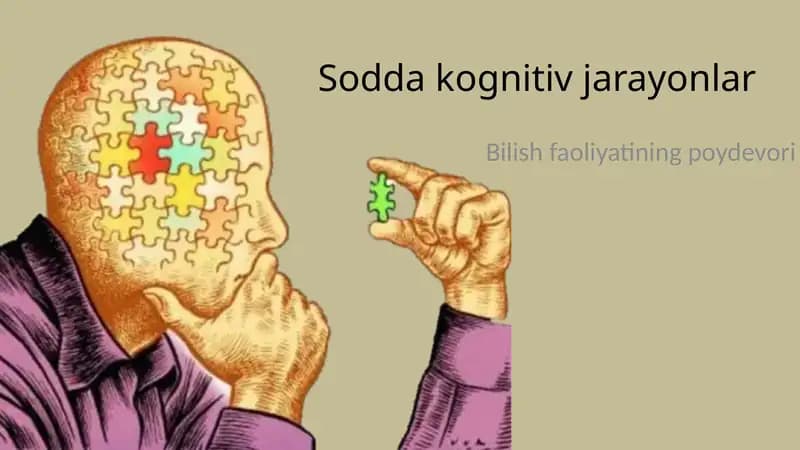 Sodda kognitiv jarayonlar