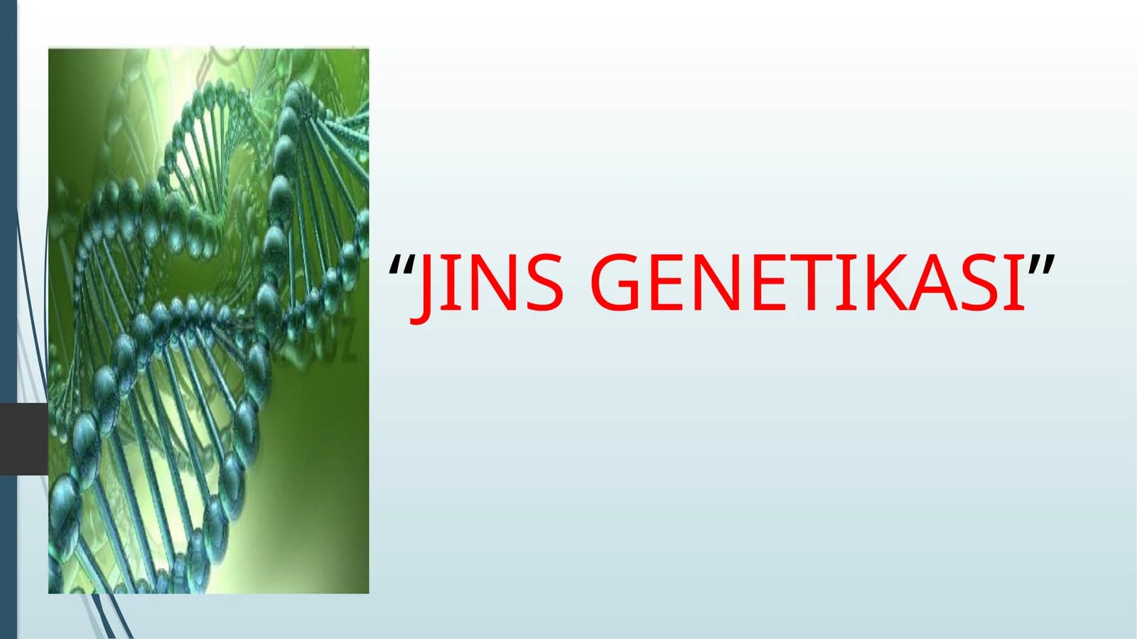 JINSGENETIKASI