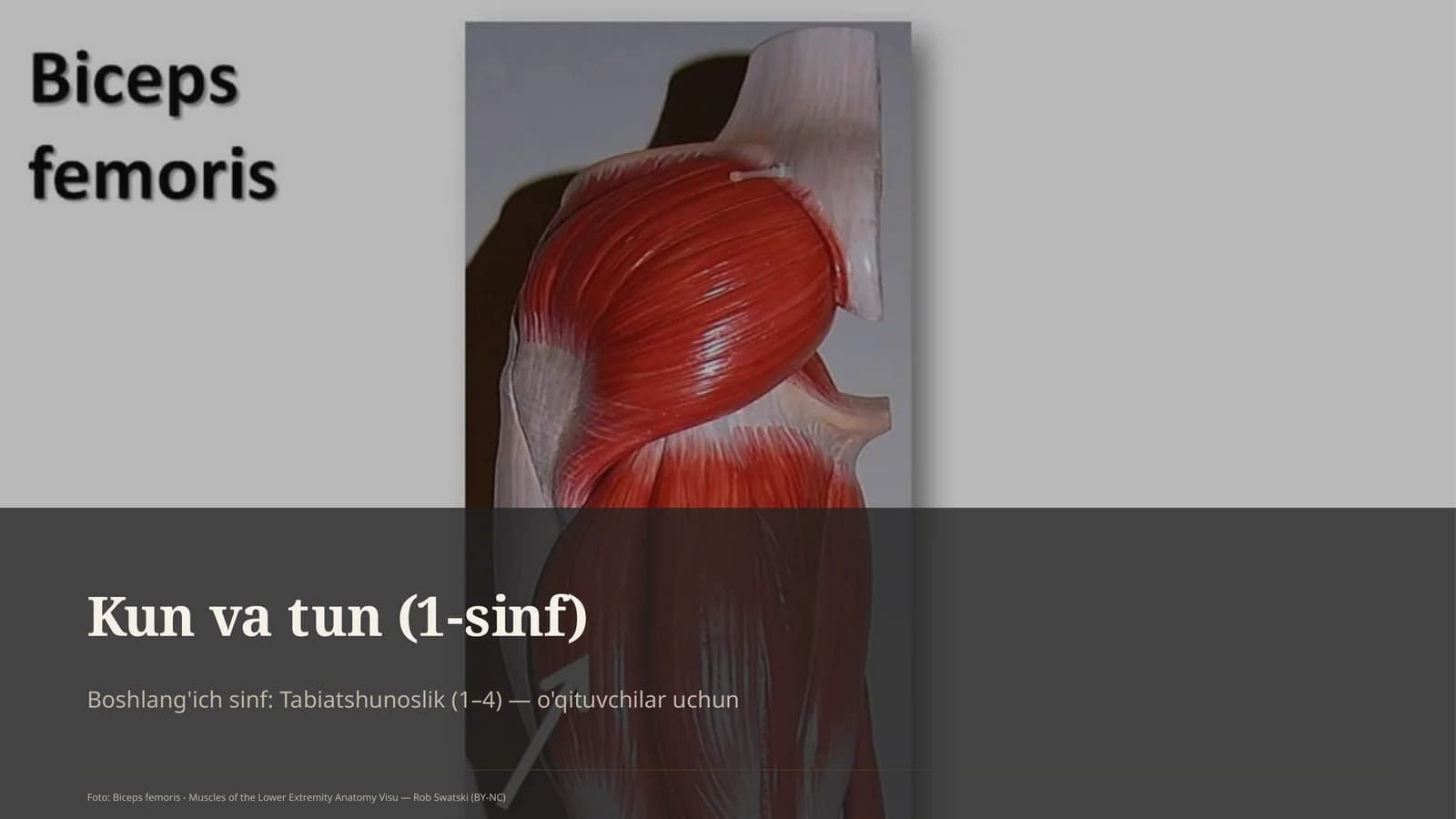 Kun va tun (1-sinf)