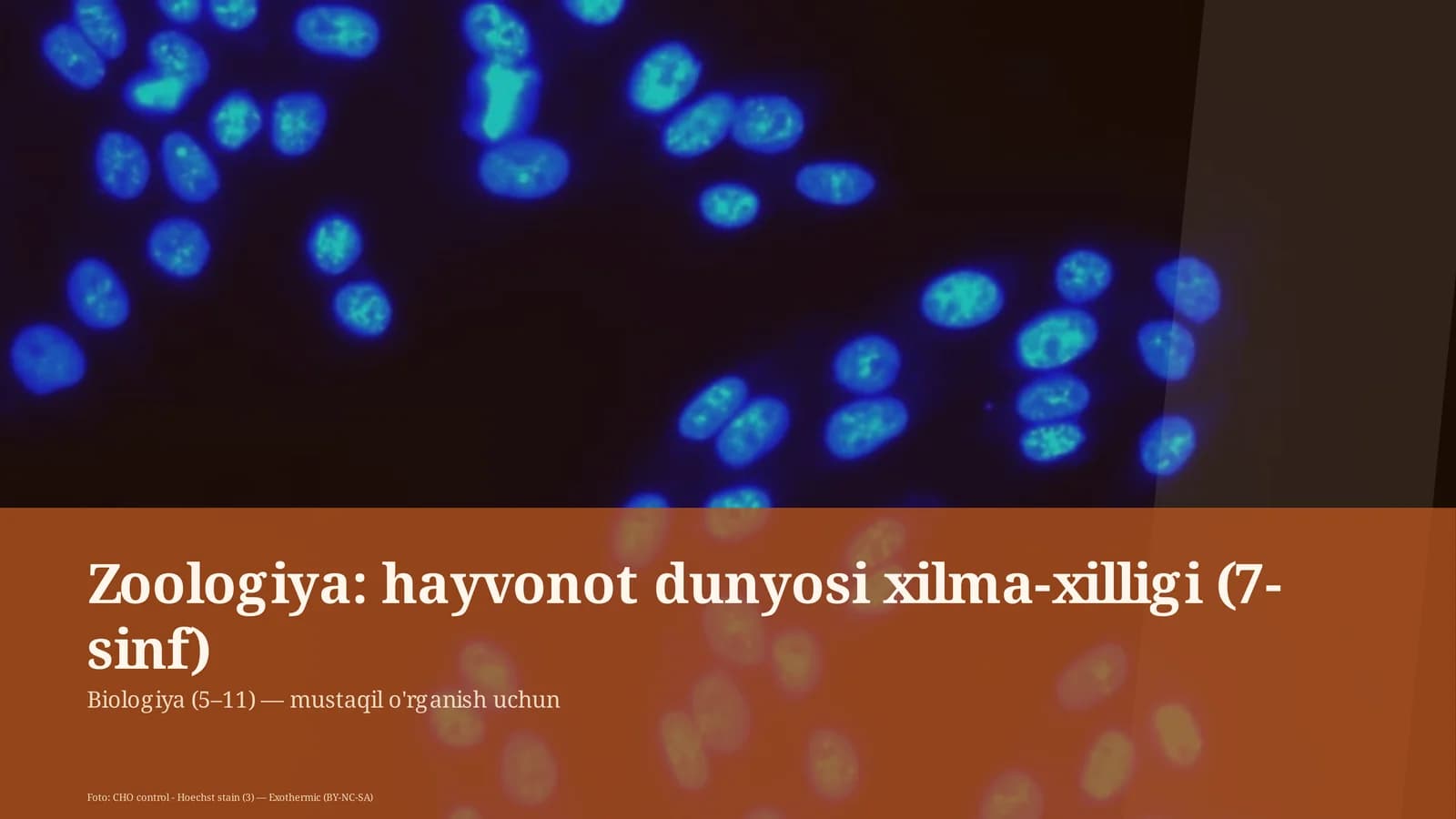 Zoologiya: hayvonot dunyosi xilma-xilligi (7-sinf)