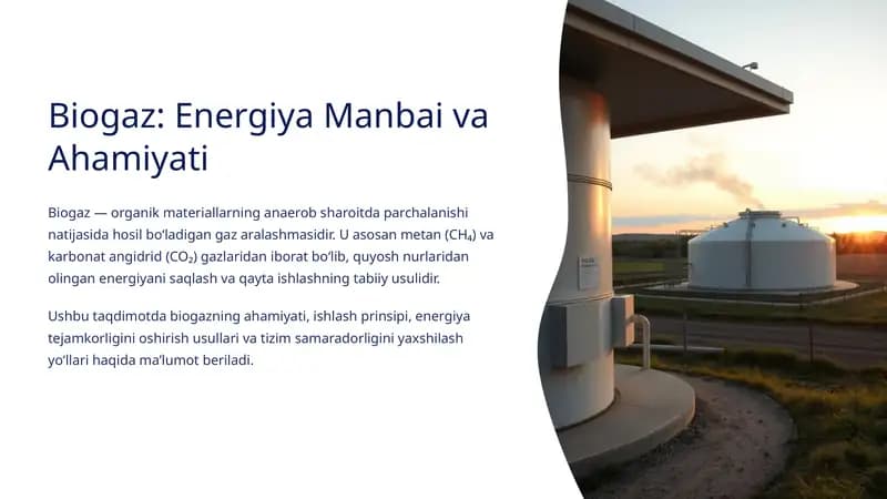 Biogaz: Energiya Manbai va Ahamiyati