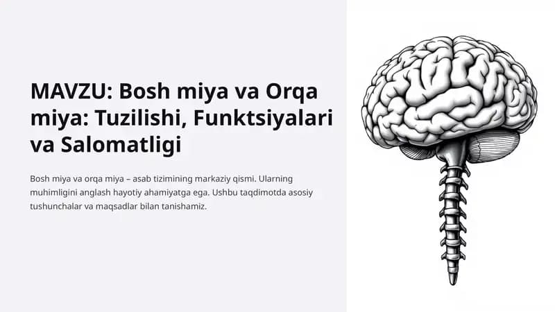 Bosh miya va Orqa miya: Tuzilishi, Funktsiyalari va Salomatligi