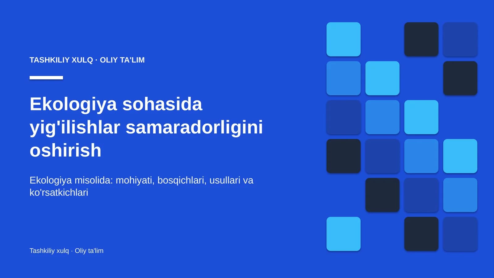 Ekologiya sohasida yig'ilishlar samaradorligini oshirish