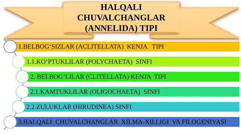HALQALI CHUVALCHANGLAR (ANNELIDA)TIPI