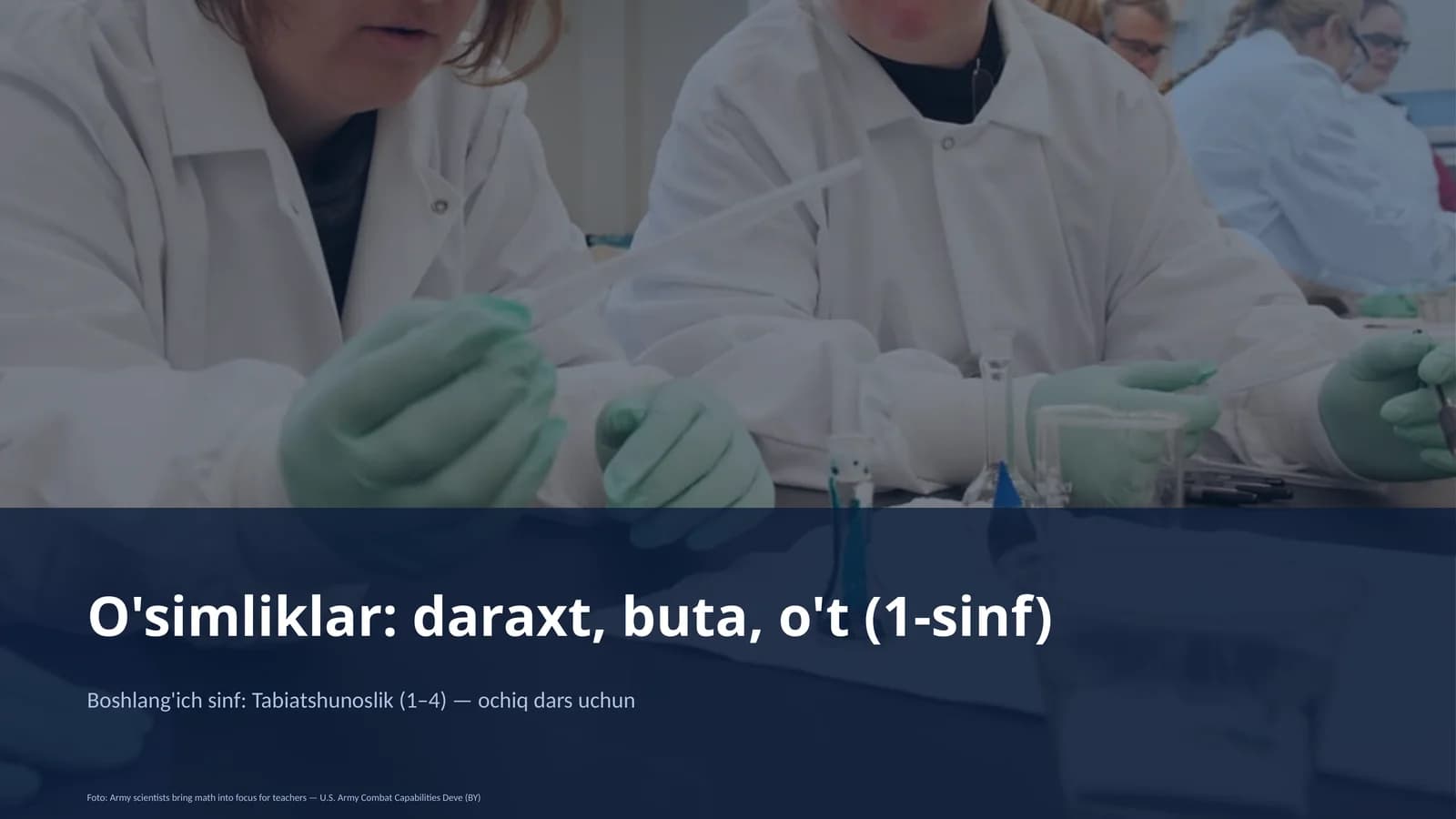 O'simliklar: daraxt, buta, o't (1-sinf)