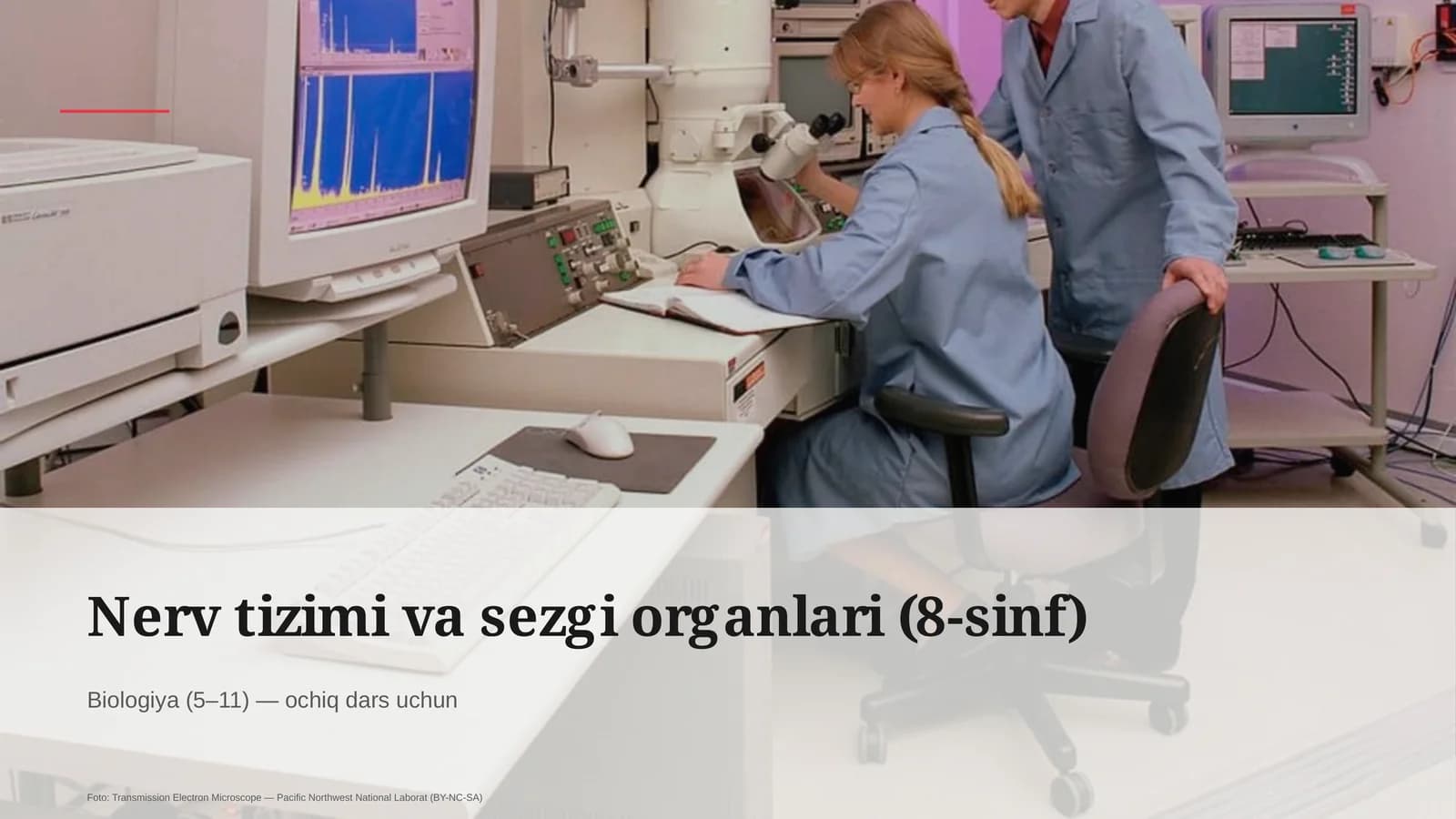 Nerv tizimi va sezgi organlari (8-sinf)