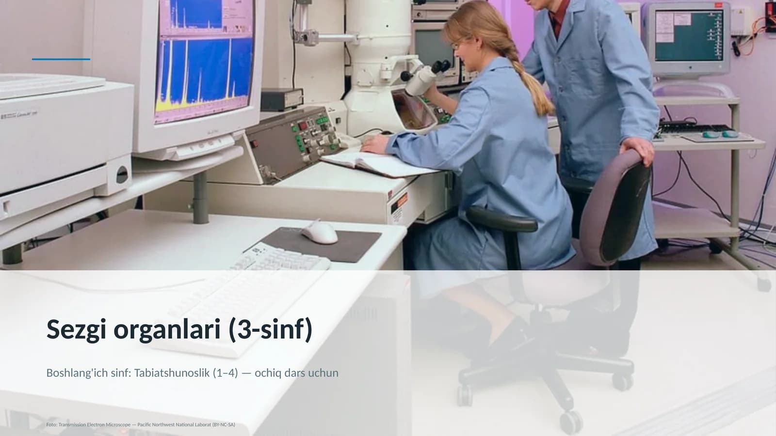 Sezgi organlari (3-sinf)