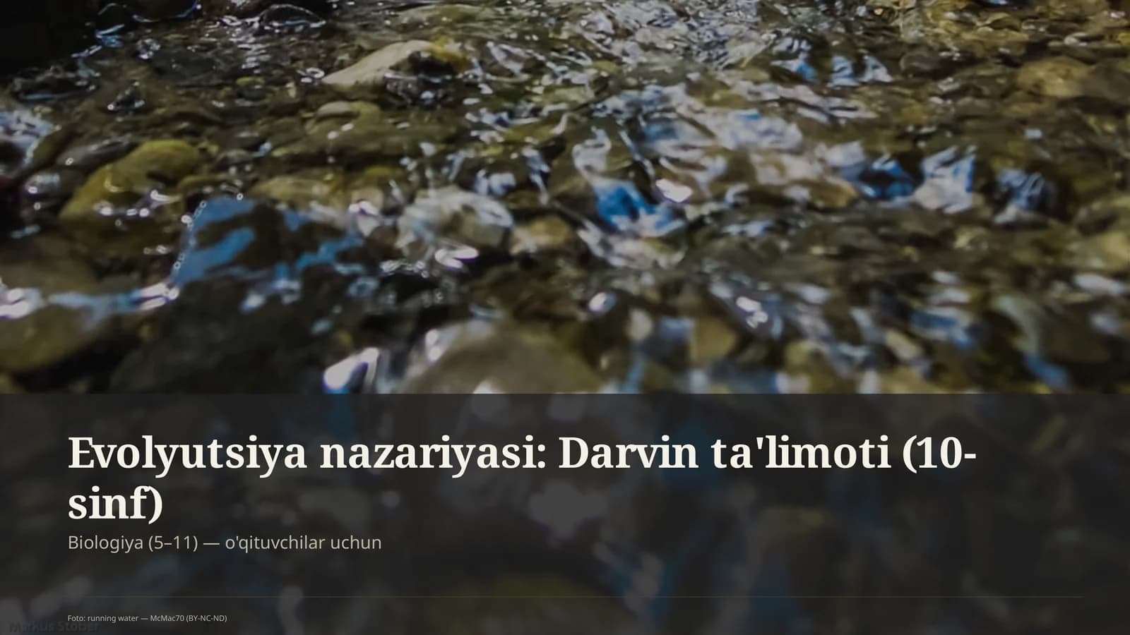 Evolyutsiya nazariyasi: Darvin ta'limoti (10-sinf)