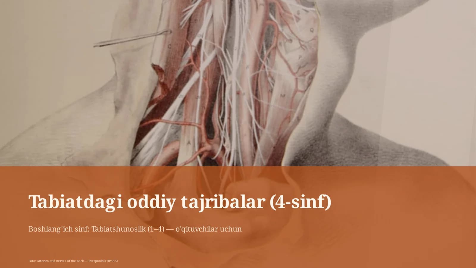 Tabiatdagi oddiy tajribalar (4-sinf)