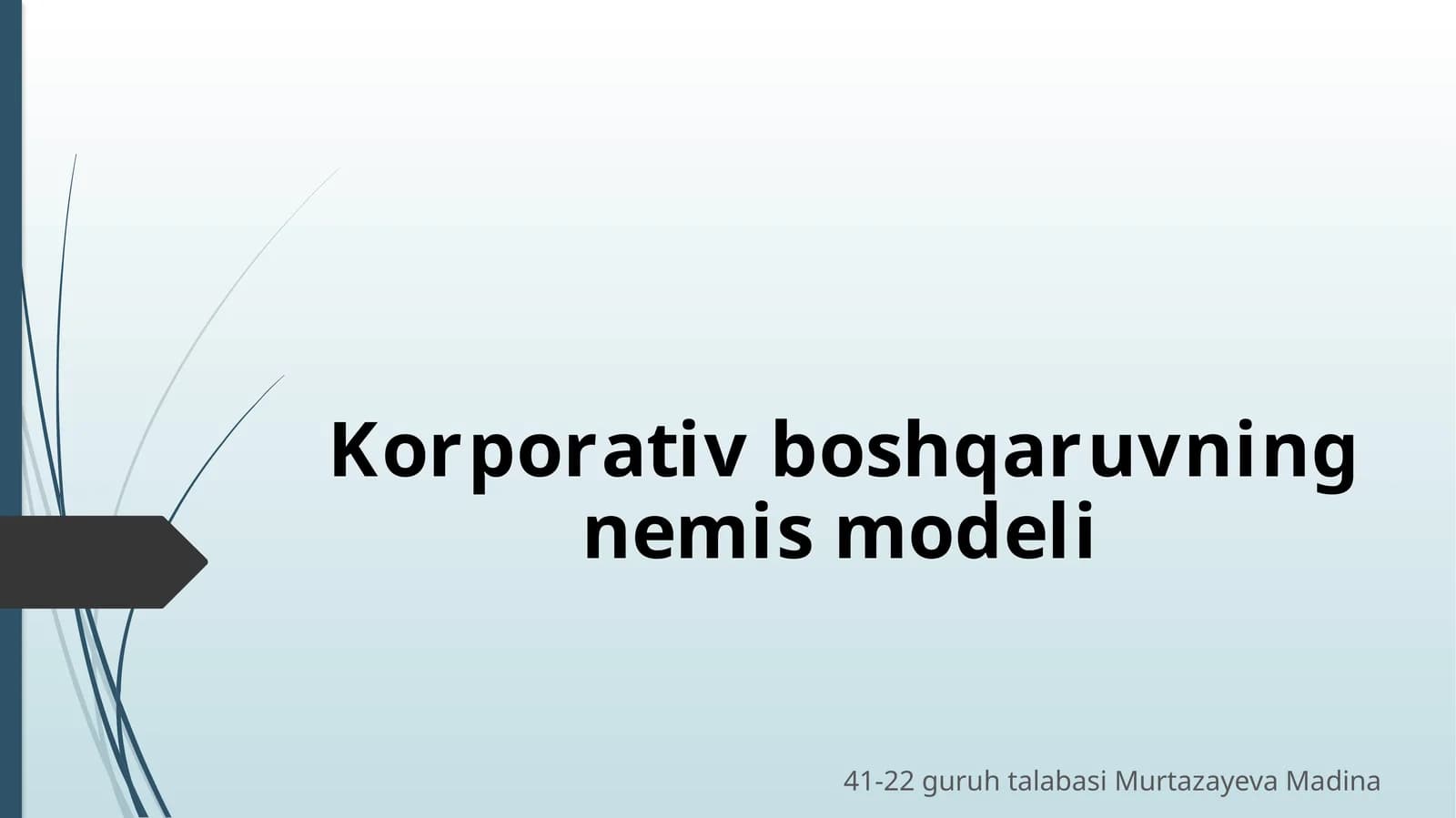 Korporativ boshqaruvning nemi modeli
