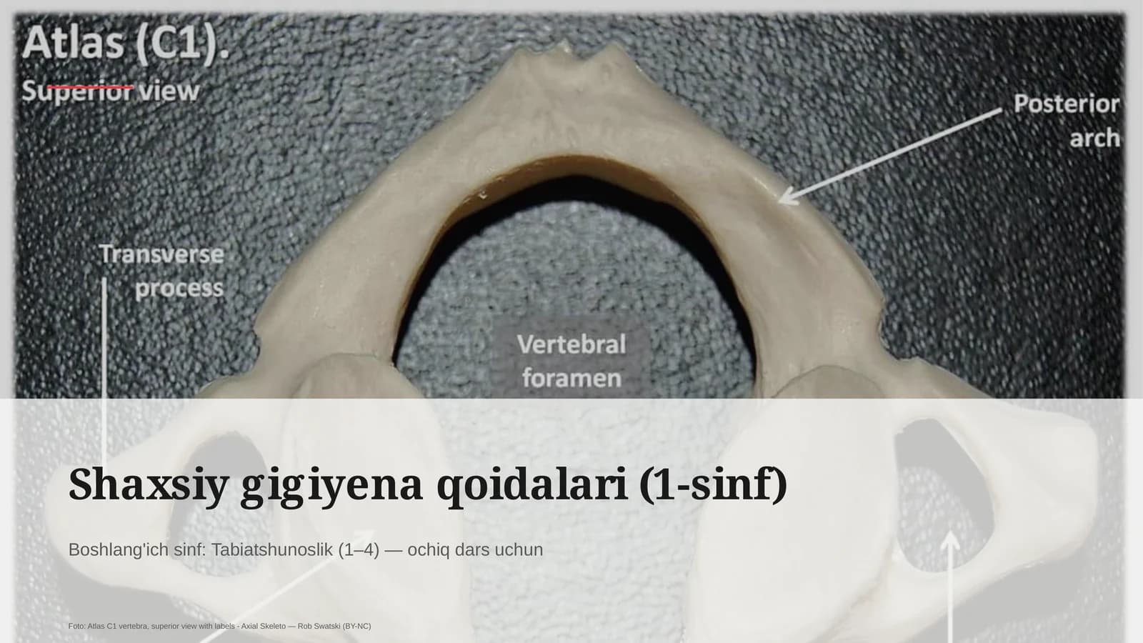 Shaxsiy gigiyena qoidalari (1-sinf)