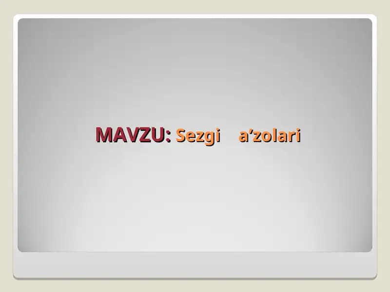 Sezgi a’zolari