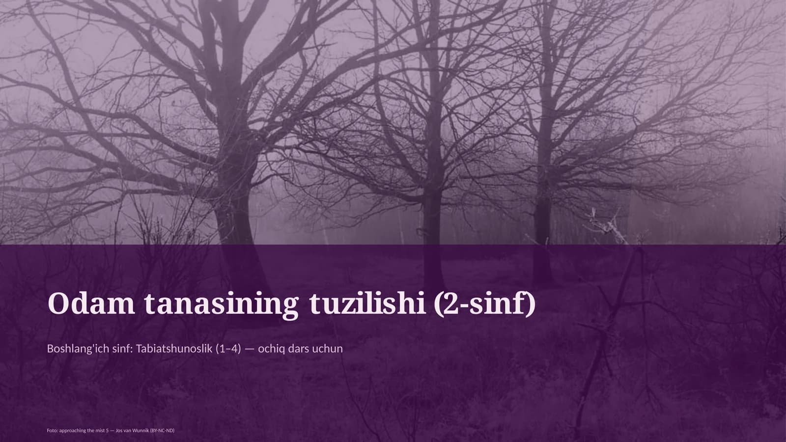 Odam tanasining tuzilishi (2-sinf)