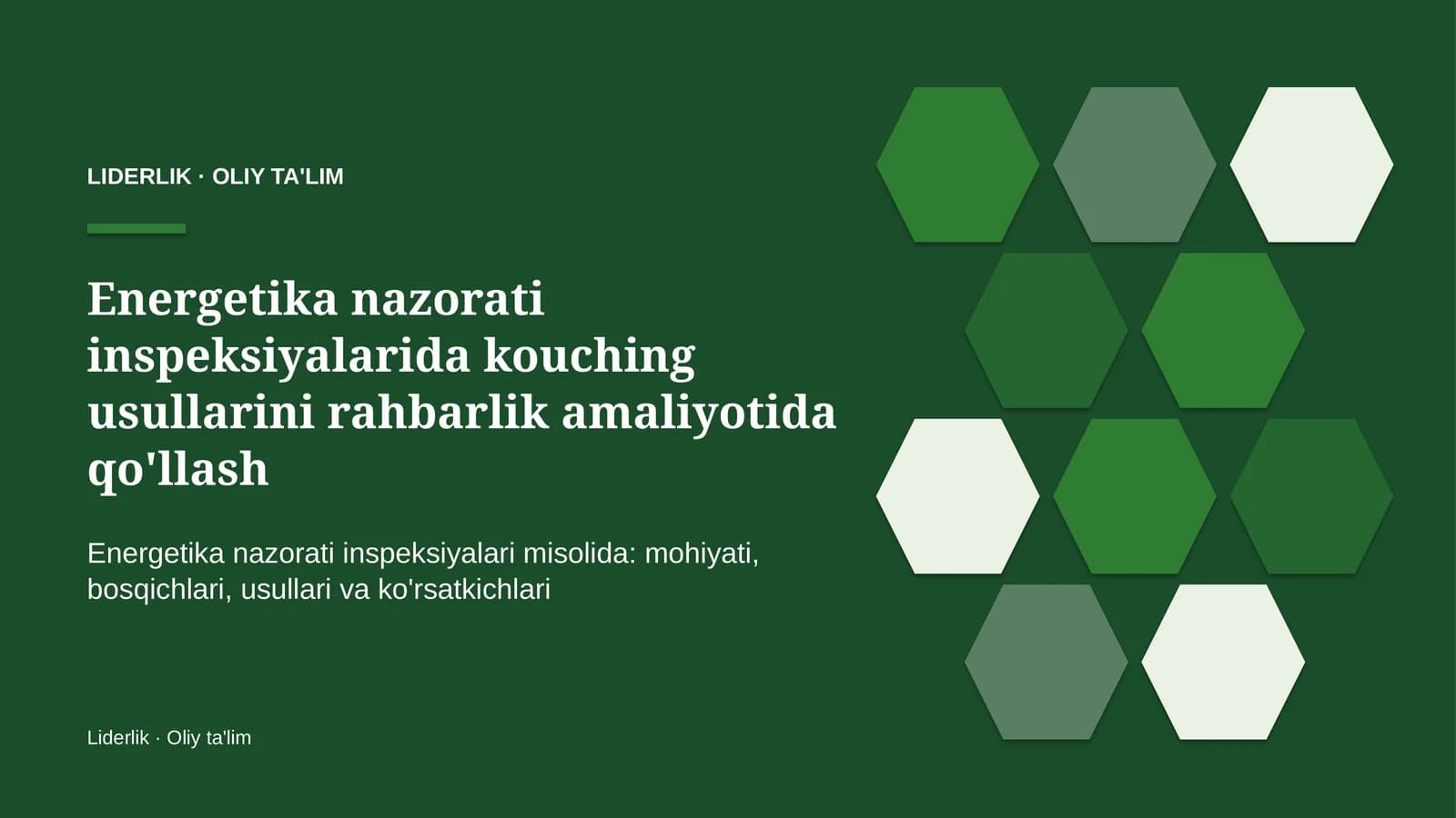 Energetika nazorati inspeksiyalarida kouching usullarini rahbarlik amaliyotida qo'llash