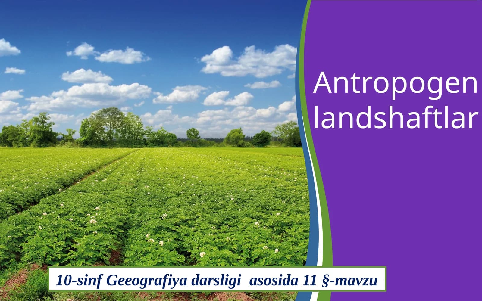 Antropogenlandshaftlar