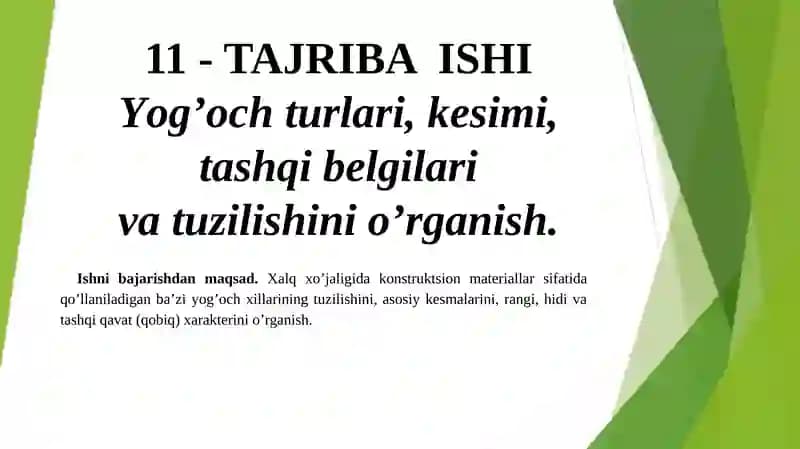 Yog’ochlar tuzilishi