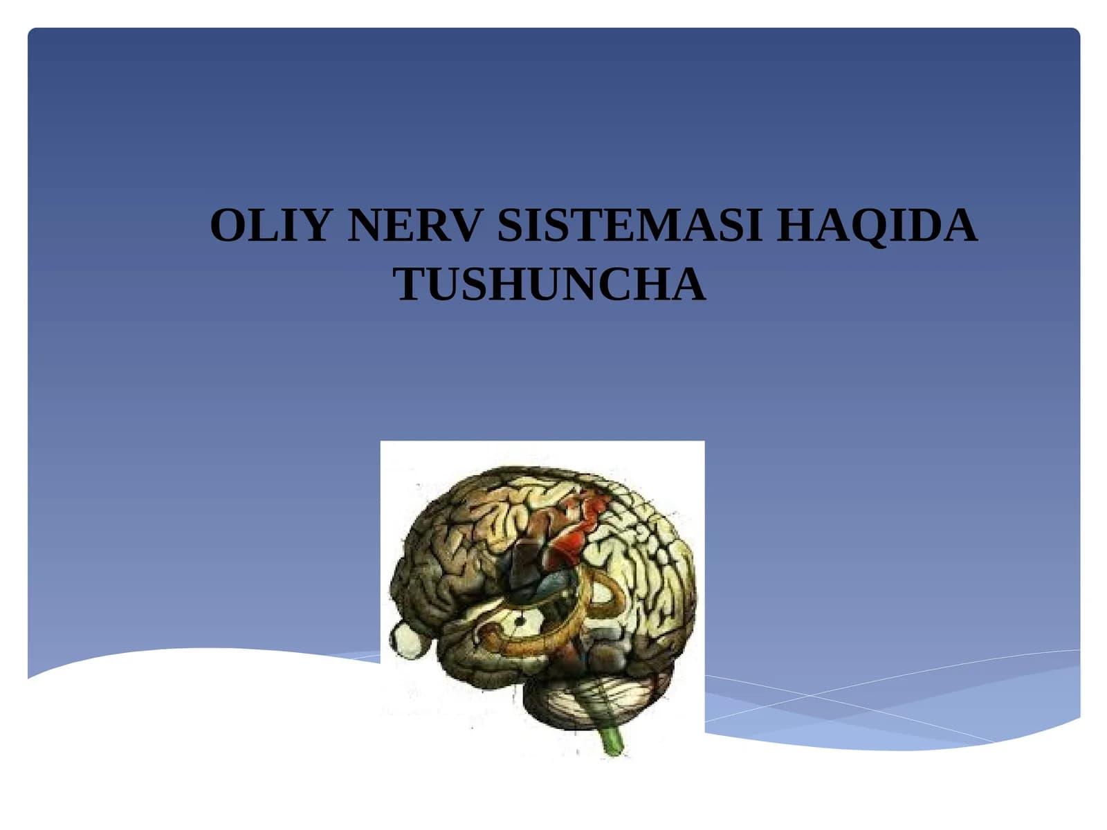 OLIYNERV SISTEMASI HAQIDA TUSHUNCHA