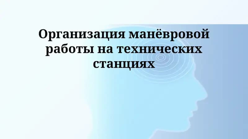 Организация манёвровой работы на технических станциях
