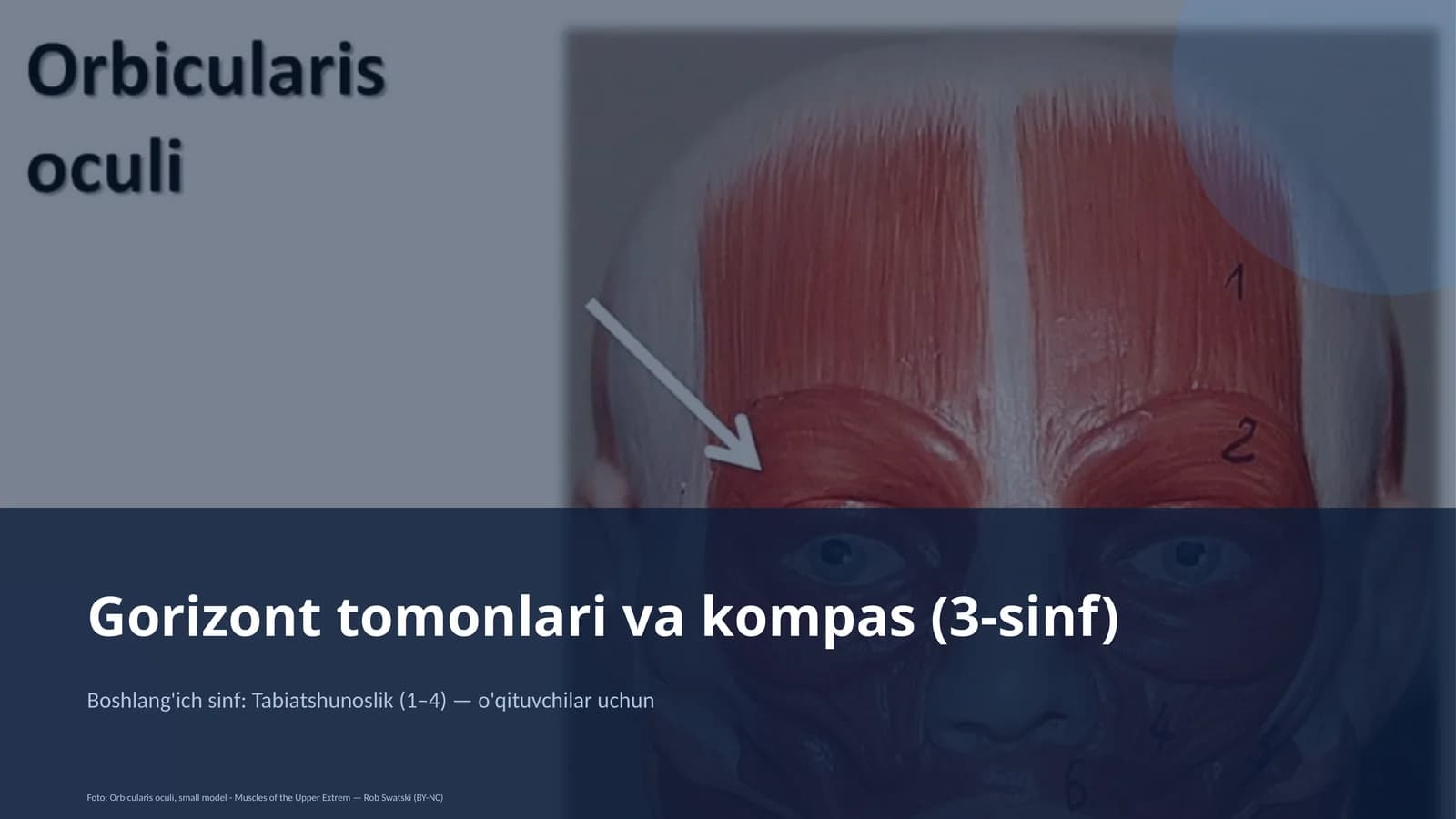 Tabiatshunoslik (1–4) — o'qituvchilar uchun