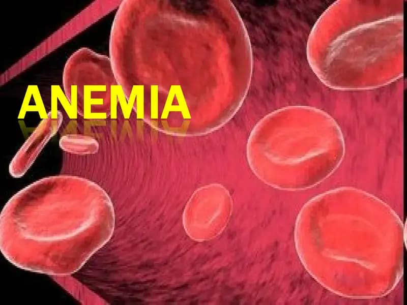 Blood smear analysis for sickle-cell anemia