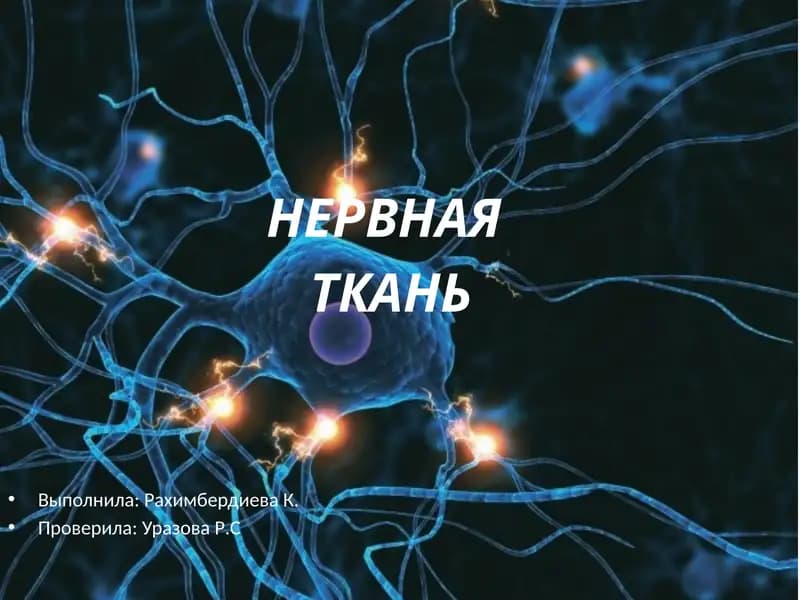 Нервная ткань