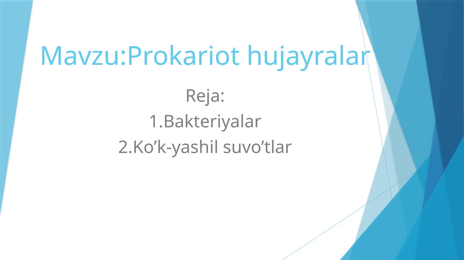Prokariothujayralar