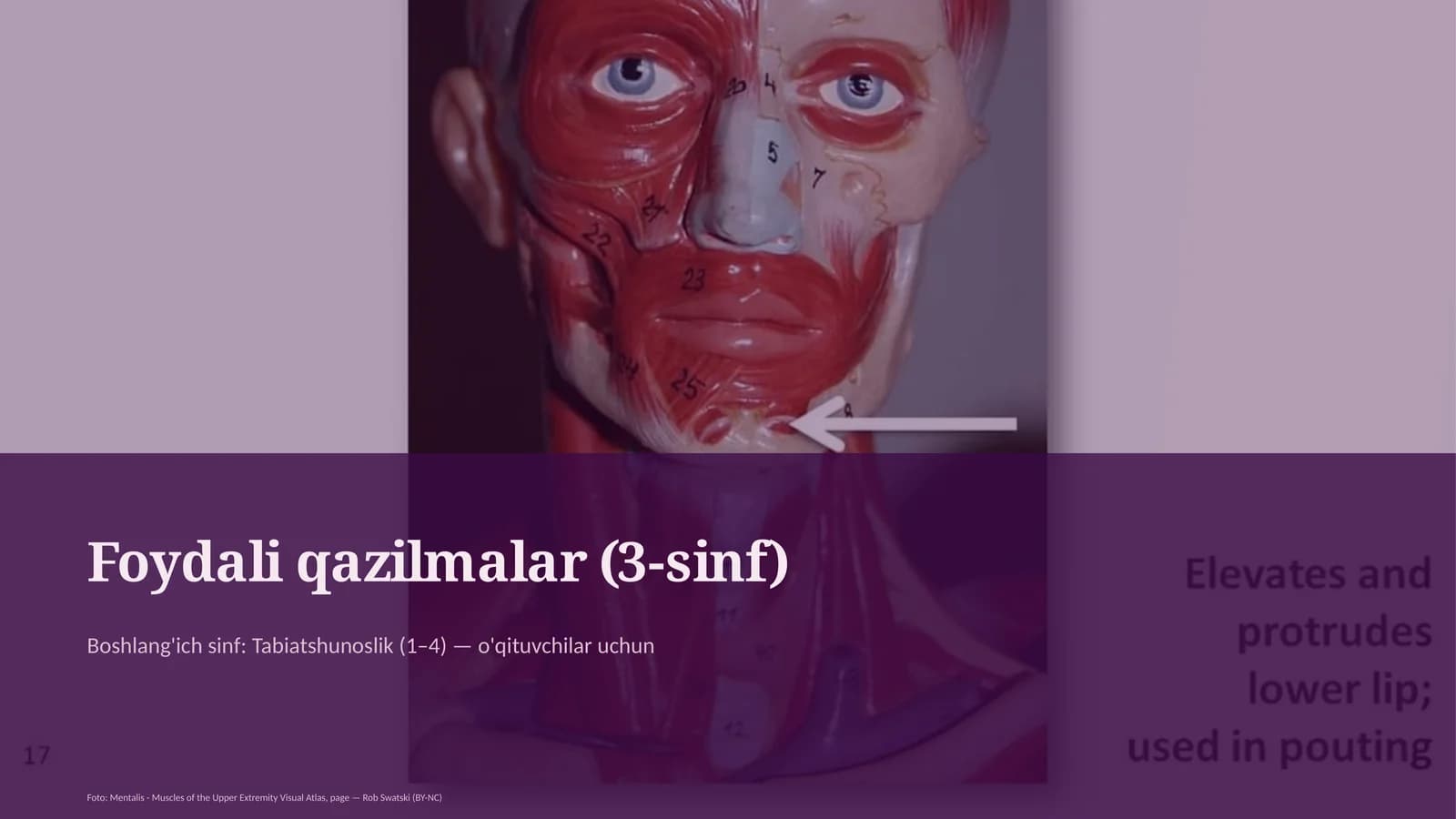 Tabiatshunoslik