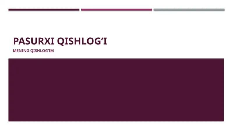 Mening qishlog’im