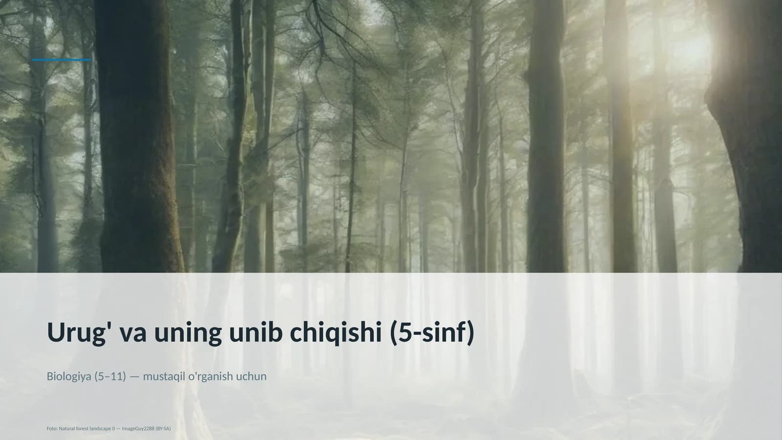 Urug' va uning unib chiqishi (5-sinf)