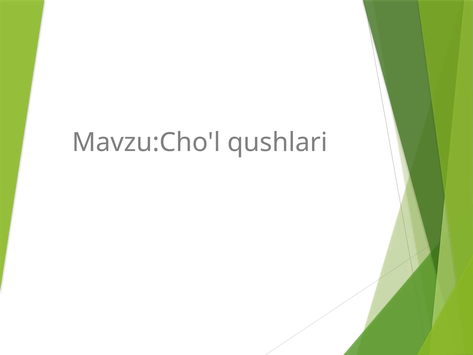 Cho'lqushlari