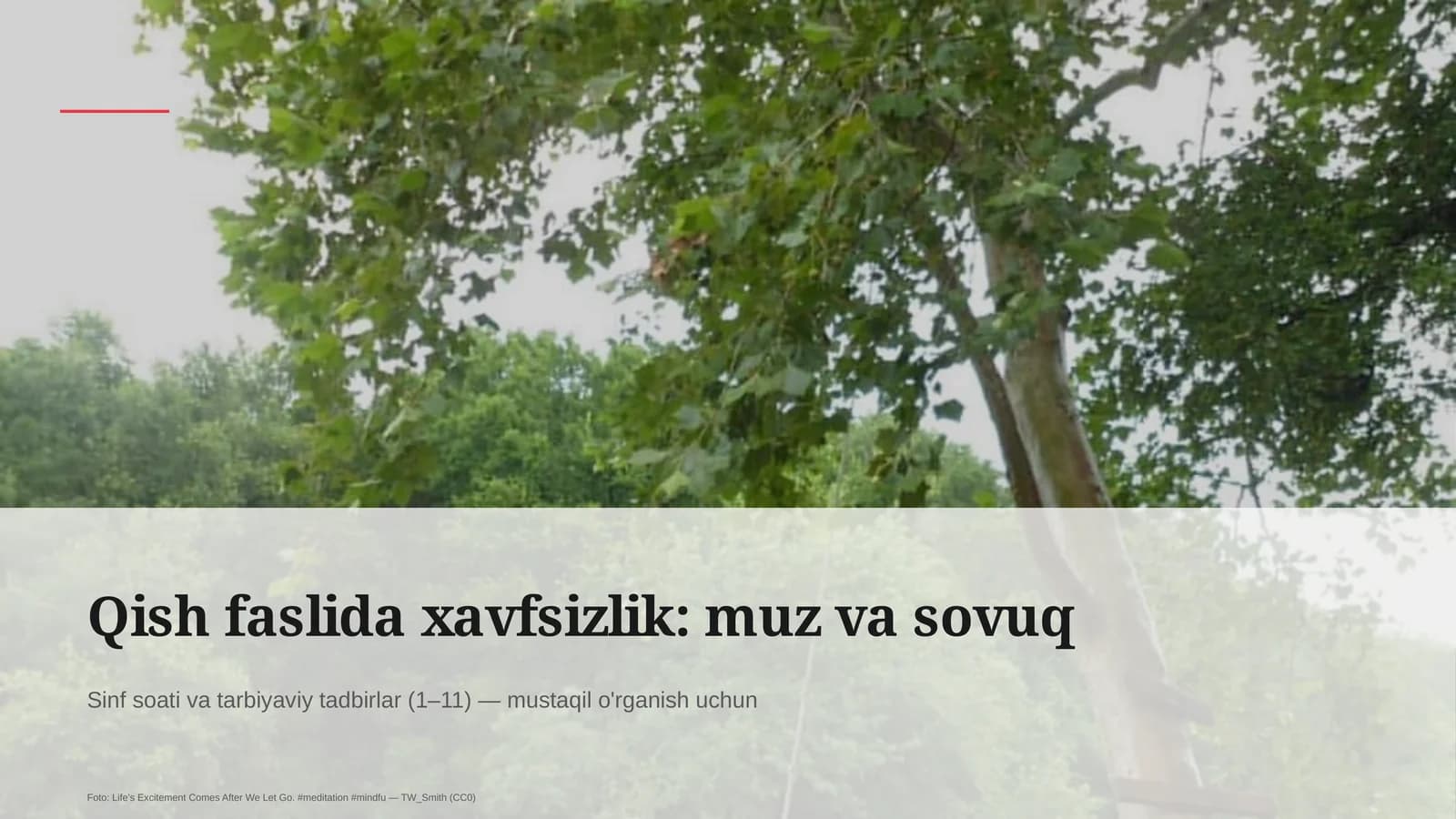 Qish faslida xavfsizlik: muz va sovuq
